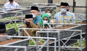 Pesantren Al Ittifaq ondok Pesantren Al-Ittifaq di Kecamatan Rancabali, Kabupaten Bandung dijadikan percontohan nasional dalam pengelolaan digitalisasi pertanian. Foto: Humas Jabar.