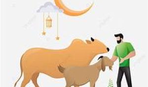 OIP (45) ilustrasi hewan qurban (sumber gambar diambil dari www. id.pngtree.com)
